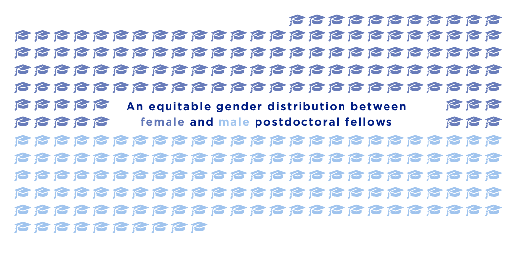 Visual representation of gender distribution between mail and female postdoctoral fellows